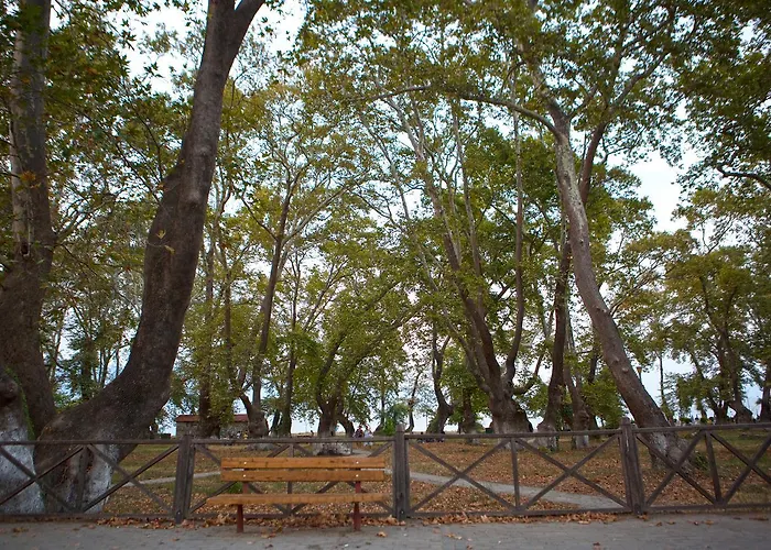 Alexander * Stavros (Thessaloniki)