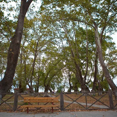 Alexander * Stavros (Thessaloniki)